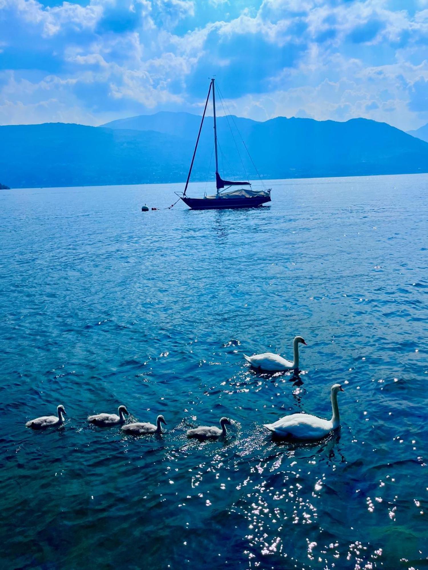 Casa Gambusso Historical House Magnificent Lake View Verbania Exterior photo